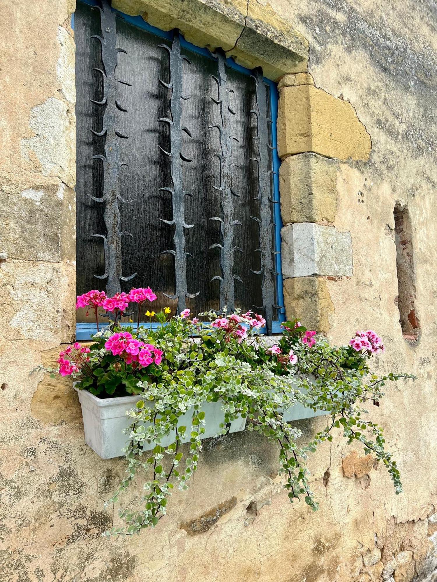 מונפזייר La Maison Anglaise מראה חיצוני תמונה